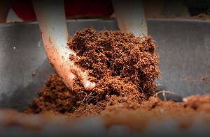 تصویر 5 از قیمت خاک پرومکس درجه یک با کیفیت ارزان + خرید عمده